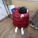 임한결 - @im_hankeoul - Instagram