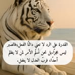 Han Liang - Facebook