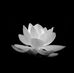 Han Ly - Facebook