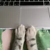 hanmac__ - @hanmac__ - TikTok