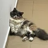 hanapai - @hpai09 - TikTok