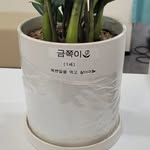 박한 - @_han_park_ - Instagram