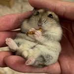 Han Phan (Meow Meow) - @han191_ - Instagram