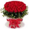 HanPhan - @_hanphan_1975 - TikTok