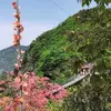 HANSONG - @hansong7 - TikTok