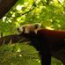 Han Thai - Facebook
