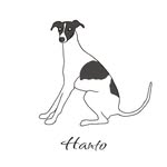 ハント - @hanto_1112 - Instagram