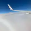hanto - @saru.0838 - TikTok