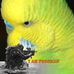 Han Yap Toh - Facebook