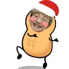 Hanwang_ho - @daunho_peanut - TikTok