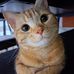 Han Zhang - Facebook