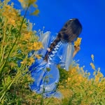 Hana King - @xx_hanam - Instagram