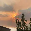 Hana Nelson - @hana.nelson6 - TikTok