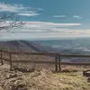 hananelson - @hananelson - TikTok