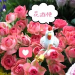 花遊便 - @hana.yu.bin - Instagram