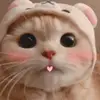🤍✨ - @hanayu0905 - TikTok