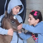Hanan Khalil - @hanan_khalil1994 - Instagram