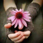 Hanan khalil - @hanan_khalil99 - Instagram