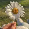 حنان سالم - @hanan_salem_67 - TikTok