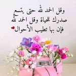 Hanan Salem - @hanan.salem.5494 - Instagram