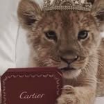 Hanan Salem - @hanan.salem.31542841 - Instagram