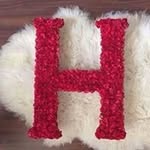 Hanan Salem - @hanan_salem98 - Instagram