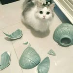 Haneen Mohammad ,, Hanoon - @haneenmohammad898 - Instagram
