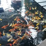 Hang Phung - @hang.phung.1466 - Instagram