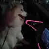 ChrisDD - @hangshi846 - TikTok