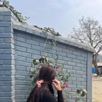 Dimneiching - @_hangshing__ - Instagram