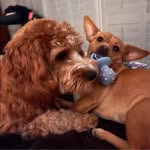Hanh Ta - @hanhta6565 - Instagram