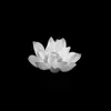 hanh vo - @hanhvo39799 - TikTok