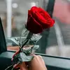hani Ahmed - @hani_shafi - TikTok
