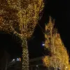요요 - @hanilee6540 - TikTok