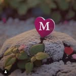 Hani nasr - @haninasr15 - Instagram