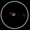 Hani Omar - @hani2224 - TikTok