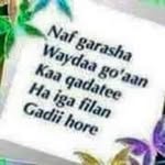 Hani Said - @hani.said.7140 - Instagram
