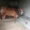 hanifabdul050 - @hanif.abdul65 - TikTok