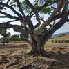 Hanifa Khan - @hanifakhan141 - TikTok
