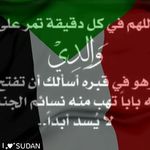 Hanim Mohammed - @hanim.mohammed.12 - Instagram