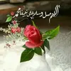 hanimmohammed839 - @hanimmohammed839 - TikTok