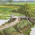 রাজ হারায় রাজা - Facebook