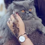Haniya Raja - @haniya861 - Instagram