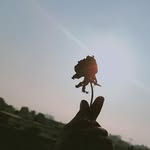 ✨️✨️ - @__haniya.raza__ - Instagram