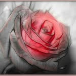 Haniya Raza - @manahilfatimah515 - Instagram