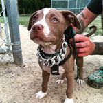 Hank Allen - @hank_rickle - Instagram