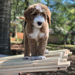 Hank Allen - @the.dood.hank - Instagram