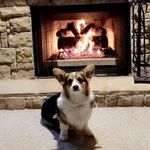 Hank Allen - @hankthetankallen16 - Instagram