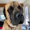 hank._.allen - @hank._.allen - TikTok