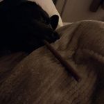 Hank Allen Gehlhausen - @hankallengehlhausen - Instagram